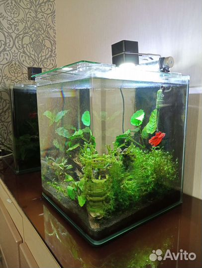 Аквариум