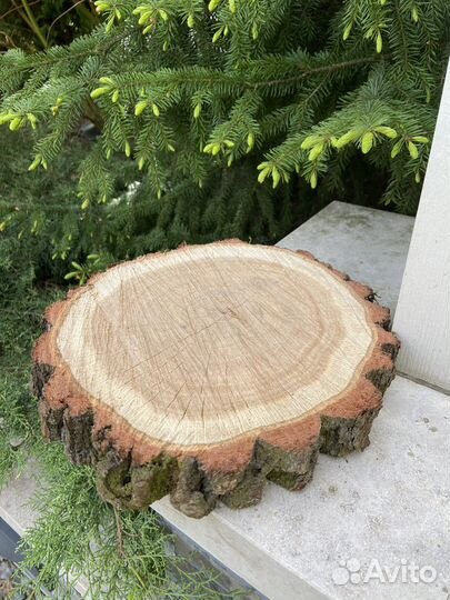 Спил дуба вяз ясень слэб