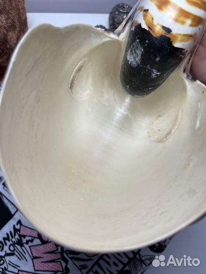 Раковины nautilus pompilius 22 -24 см