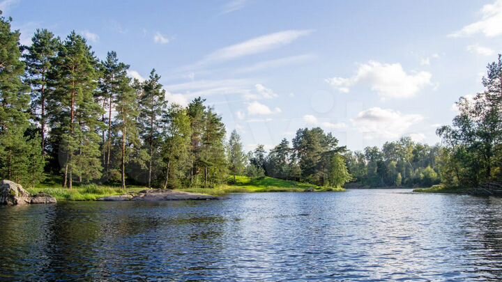 Участок 10 сот. (СНТ, ДНП)