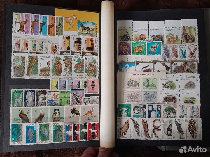 Марки чистые фауна альбом 2