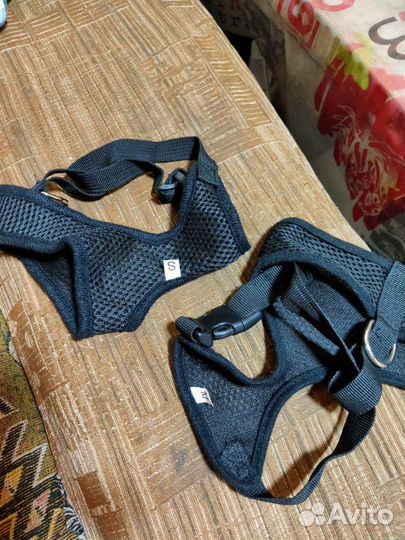 Шлейки и поводок