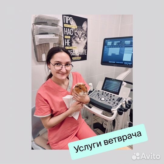 Ветеринарный врач, выезд, консультация онлайн