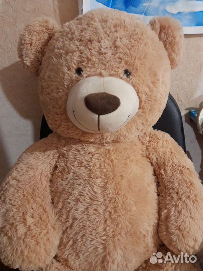 Плюшевый медведь