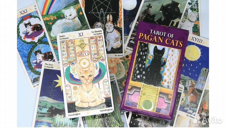 Карты таро кошки