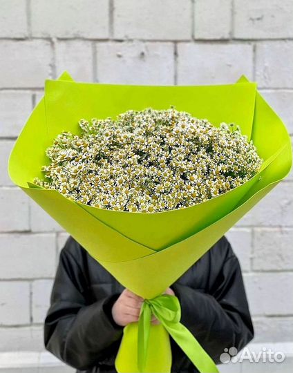 Букеты. Доставка ромашек