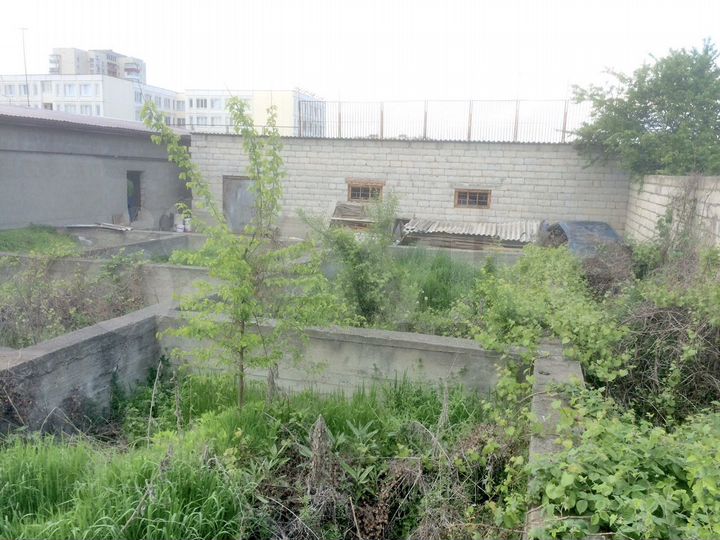 Дом 50 м² на участке 6 сот.