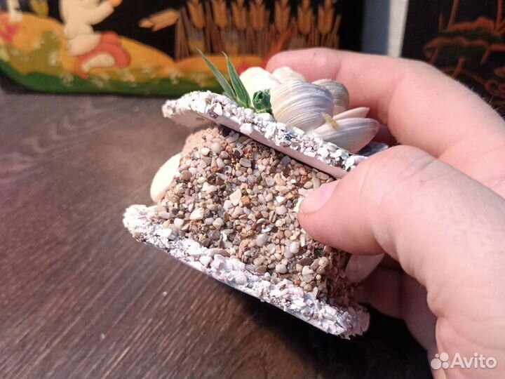 Ракушечья шкатулка из песка и камешков