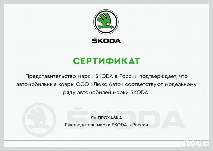 3D Коврики Skoda из Экокожи