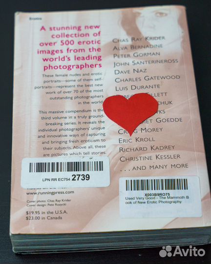 The Mammoth Book of New Erotic Photography