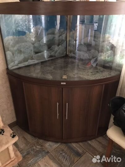 Аквариум juwel high-lilter