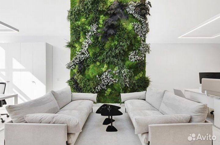 Фитостена, вертикальное озеленение Нижний Новгород