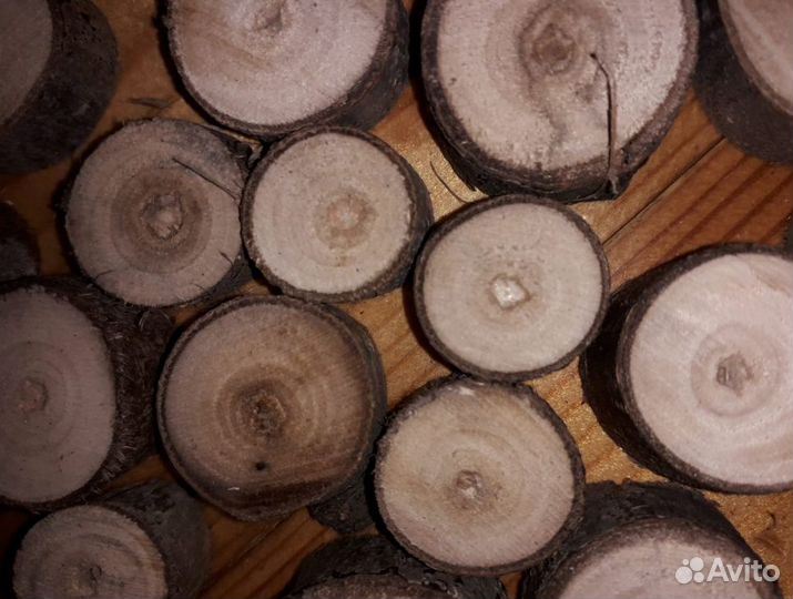 Слэб (спил) Грецкого дерева для поделок, 1-3,3-5см