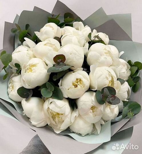 Пионы Букет пионов