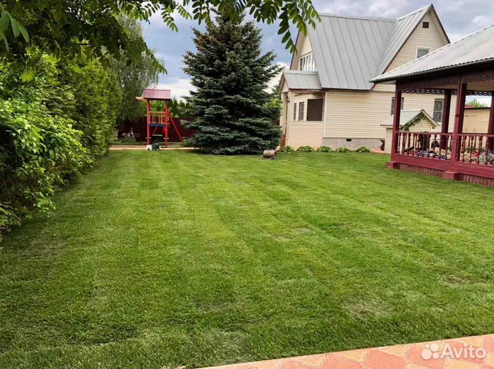 Укладка и продажа газона