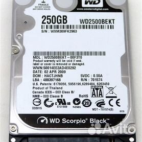 250 2.5. WD Scorpio 250gb. Жесткий диск Western Digital WD Scorpio Black 250 GB. HDD 250 GB 2.5. WD Black 250gb HDD.