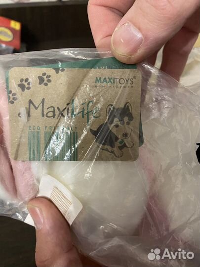 Заяц и пришелец