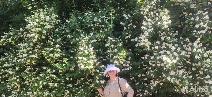 Репетитор по английскому языку онлайн