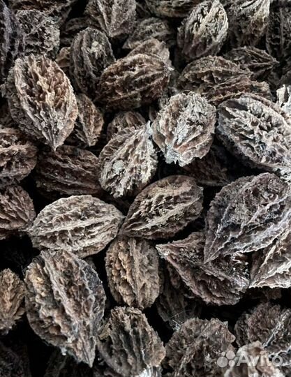 Плоды ореха для творчества