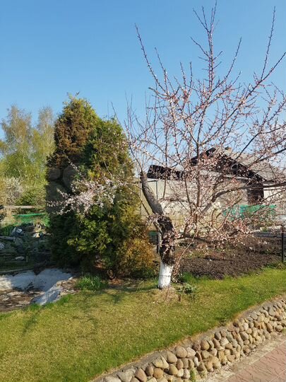 Дом 120 м² на участке 10 сот.