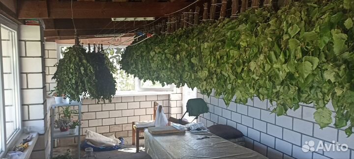 Березовые веники