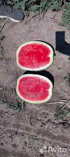 Рабочие в фермерском хозяйстве