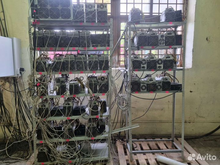 Настройка асиков ферм antmier (можно удаленно)