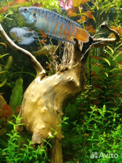 Коряги для аквариума, замок