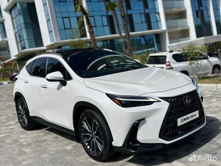 Lexus NX 2.5 AT, 2022, 21 000 км