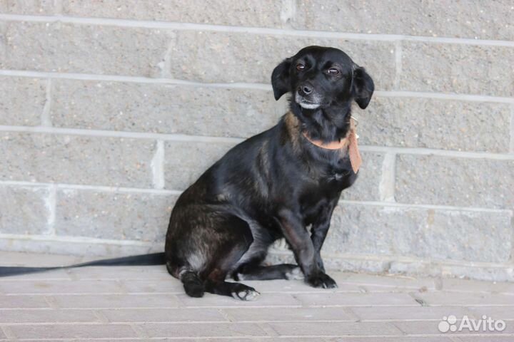 Подари шанс на счастливую жизнь