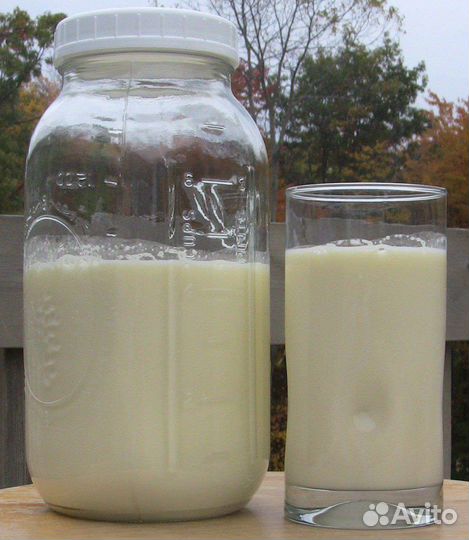 Домашние куриные яйца и козье молоко