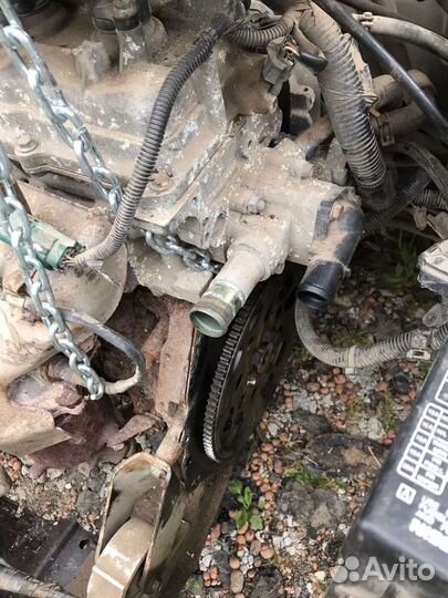 Двигатель Nissan Almera N16