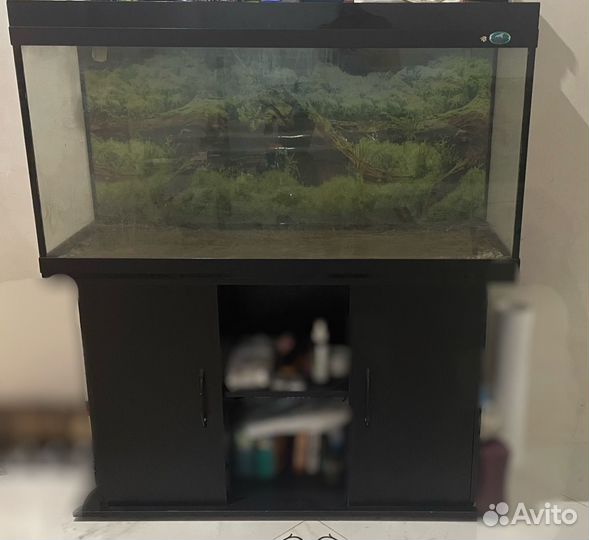 Аквариумы 200 литров