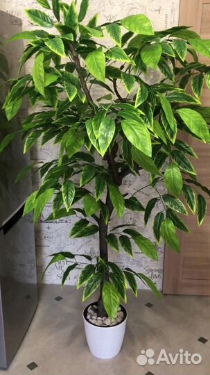 Дерево искусственное Манго 2 метра