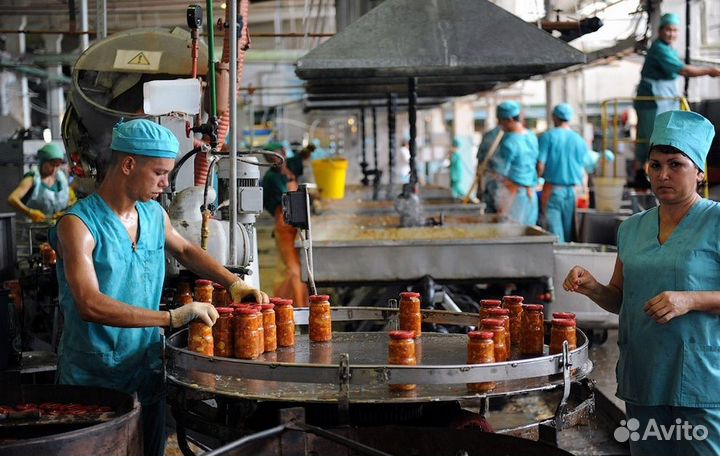 Работа вахтой. Соленья. с 3х питанием и жильем