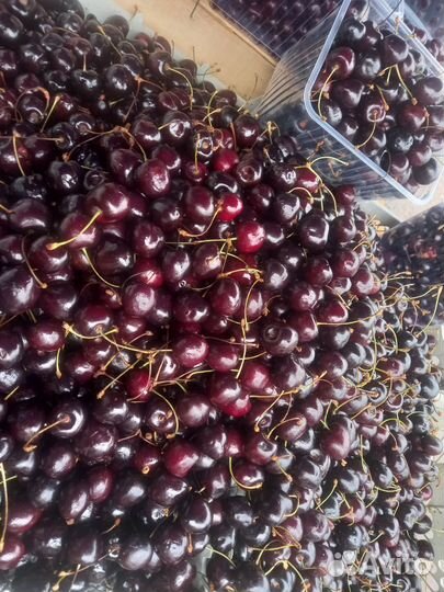 Черешня и вишня