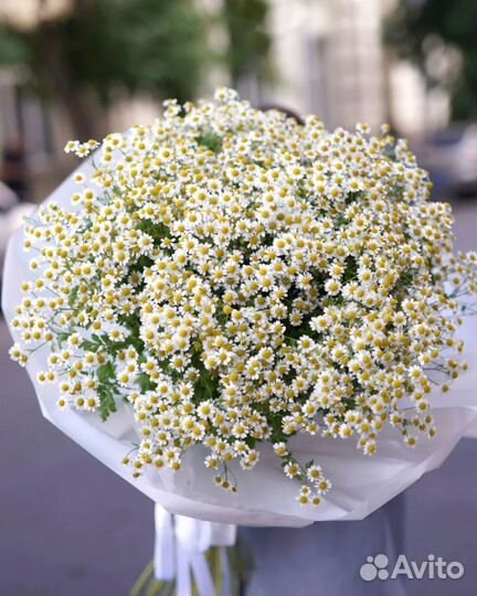 Букеты из Ромашек с Доставкой. Цветы