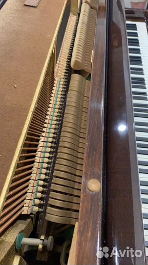 Пианино петроф petrof