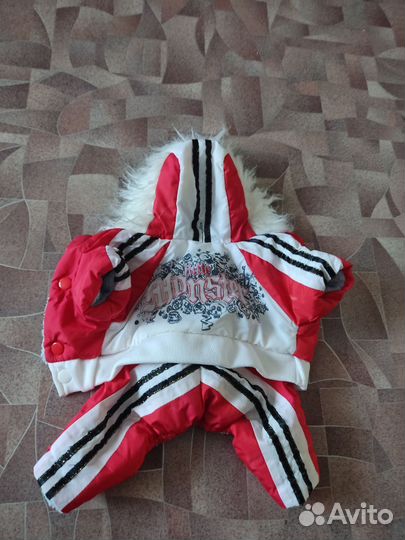 Комбинезон теплый для маленькой собачки