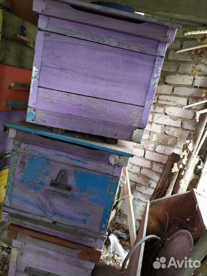 Улей для пчел