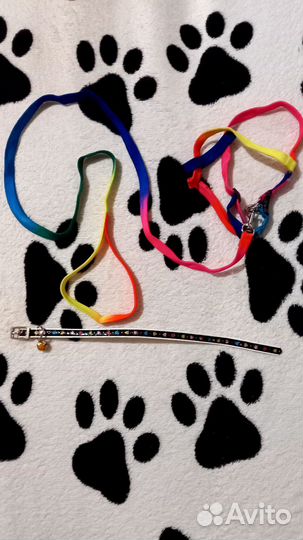 Одежда для маленьких собак xs