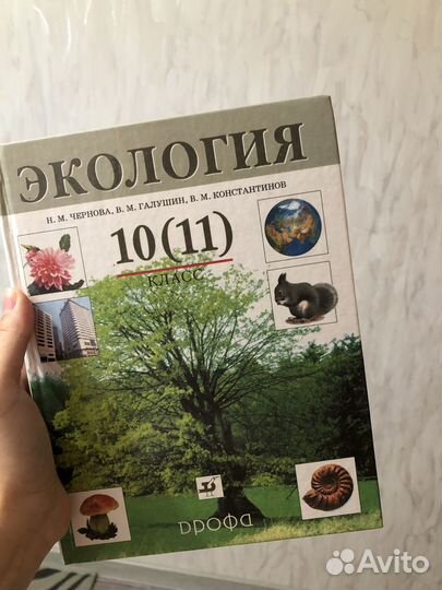 Подготовка к егэ