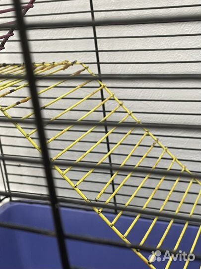 Клетка для грызунов + поилка и миски крыс