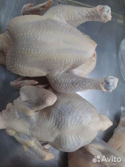 Домашнее мясо кур бройлеров предзаказ