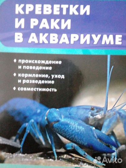 Креветки и раки