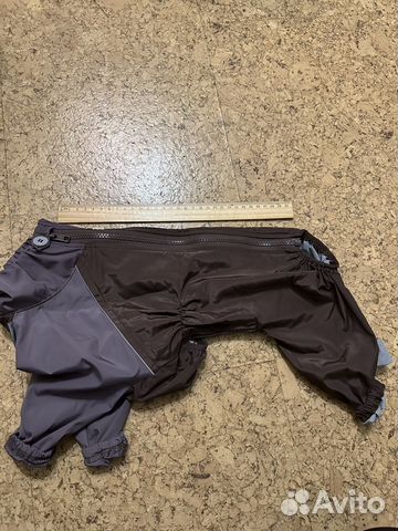 Одежда для собак