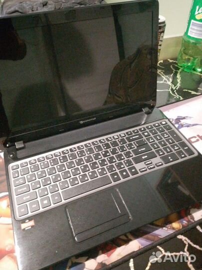 Packard bell ноутбук