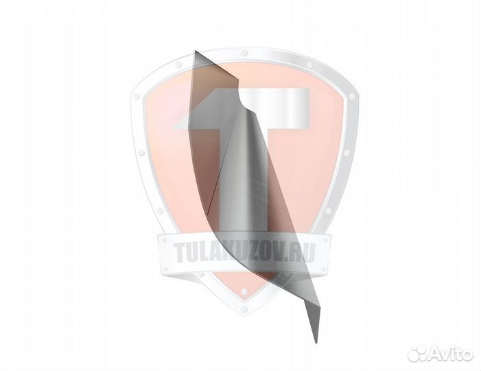 Пороги кузовные Тойота Хайс Региус H100