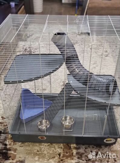 Клетка ferplast Дженни