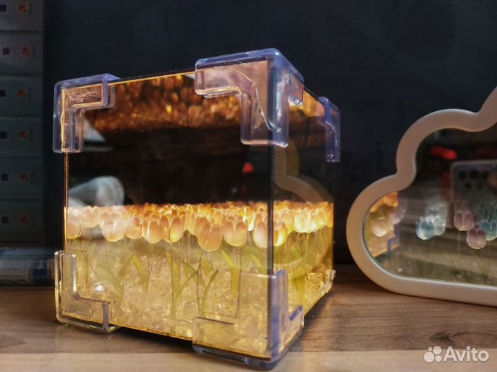 Светильник Куб с тюльпанами внутри